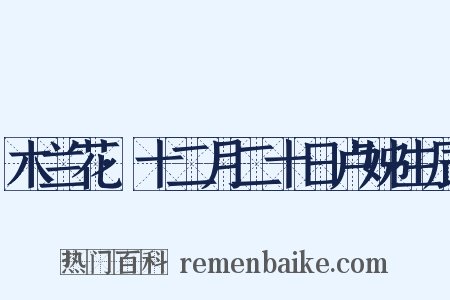 木兰花·十二月二十日卢姊生辰是什么意思的图片